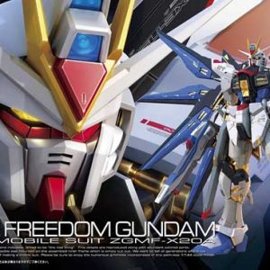 RG Srike Freedom Gundam